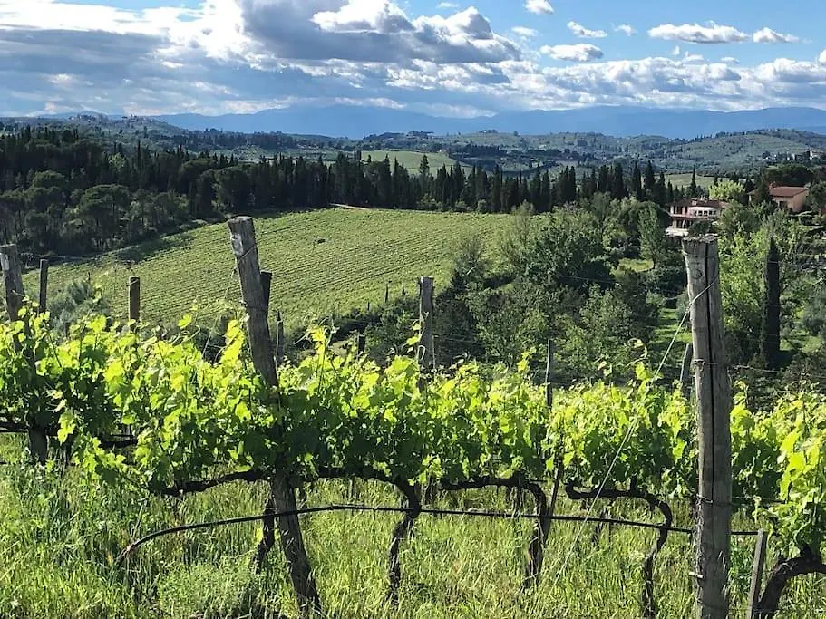 Faetole Typical Tuscan Country House Near Florence Capannuccia Villa
