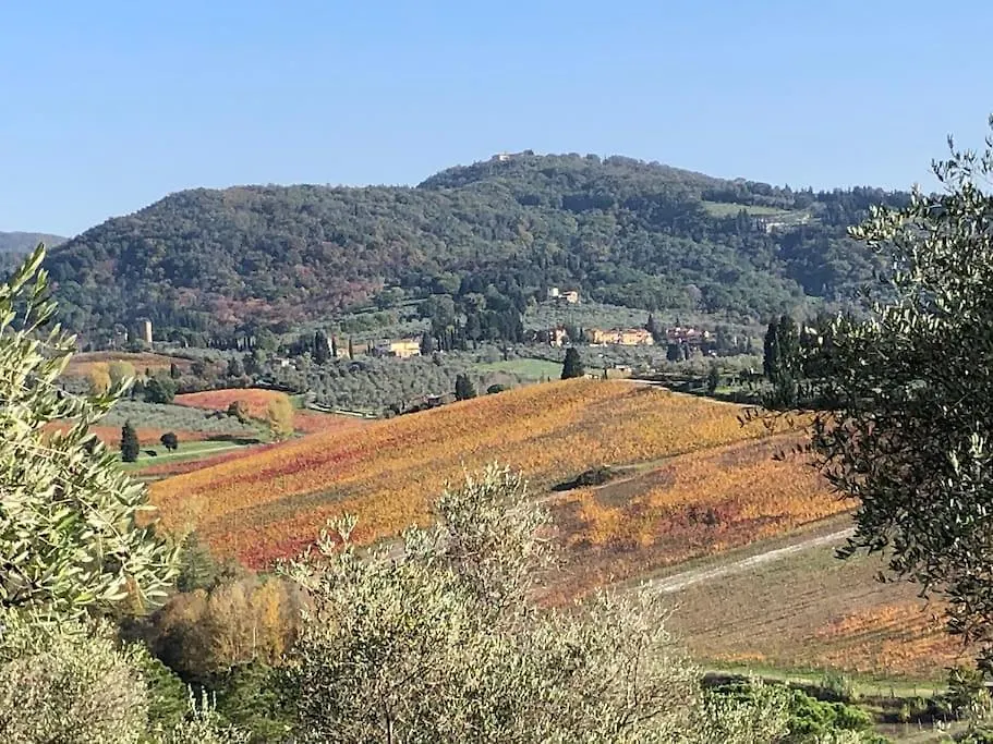 Villa Faetole Typical Tuscan Country House Near Florence Capannuccia Italy