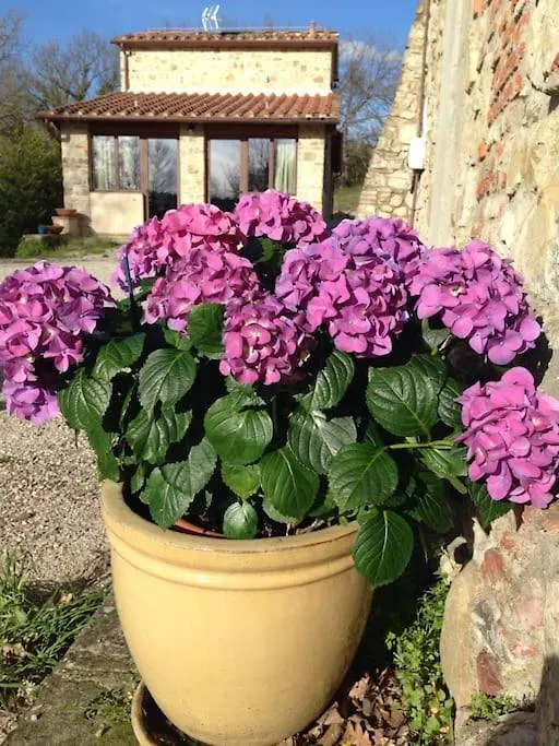 Faetole Typical Tuscan Country House Near Florence Capannuccia Villa